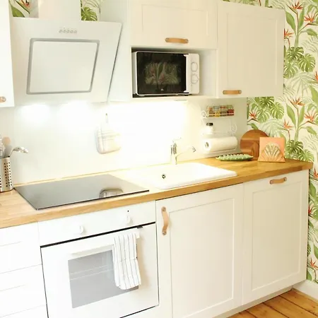 Apartment Superior Mit Tropical Feeling L 2 Schlafzimmer Nahe L Messe L Flughafen L Hbf