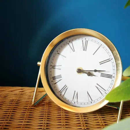 Superior Mit Tropical Feeling L 2 Schlafzimmer Nahe L Messe L Flughafen L Hbf 公寓