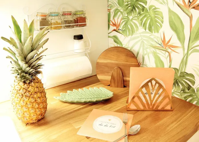 公寓 Superior Mit Tropical Feeling L 2 Schlafzimmer Nahe L Messe L Flughafen L Hbf 杜伊斯堡